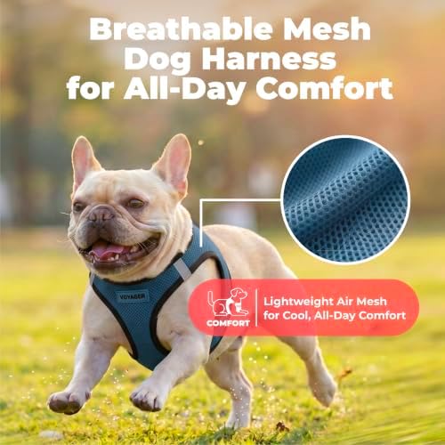 Voyager Step-in Air Dog Vest Harness - Blue/Black Trim, Medium - Image 5