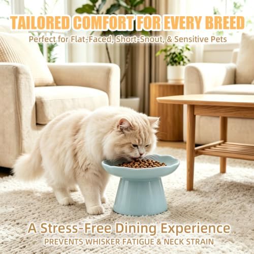 6" Elevated Cat Bowls,Ceramic cat Food Bowl, Azure, 1-Pack - Image 6
