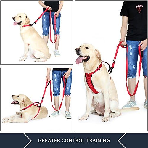 Plutus Pet Double Handle Dog Leash, 5 FT Long, for Medium Large Dogs - Image 3