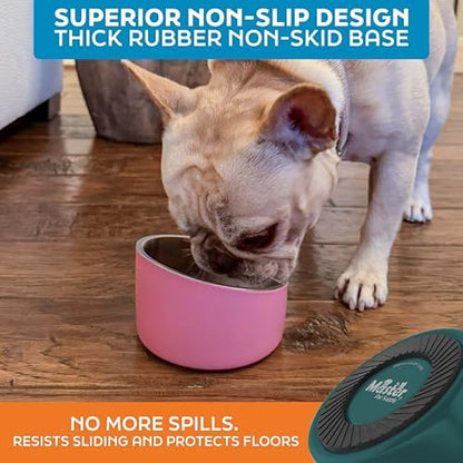 Master Pet Supply Stainless Steel Slanted Dog Cat Food Bowl 8 oz Emerald - Image 5