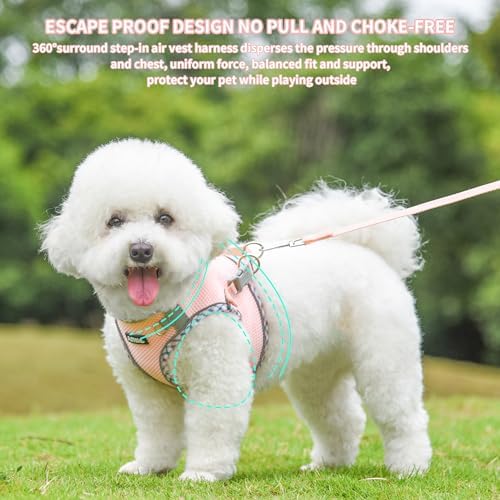 AIITLE Tiny Dog Harness and Leash Set, Step-in Vest for Puppy, Pink XXXS - Image 4