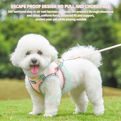 AIITLE Tiny Dog Harness and Leash Set, Step-in Vest for Puppy, Pink XXXS - Image 4