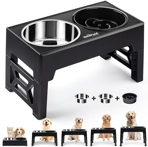 EliteField Elevated Dog Bowls, 2 Stainless Steel Bowls (2-Year Warranty) by EliteField