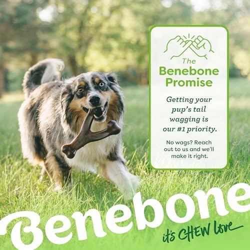 Benebone 2-Pack Wishbone Toy for Aggressive Chewers, Real Bacon, Medium - Image 6
