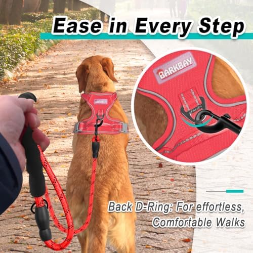 BARKBAY Dog Harness for Large Dog No Pull Mesh 2 Clips Dog Vest - Image 3