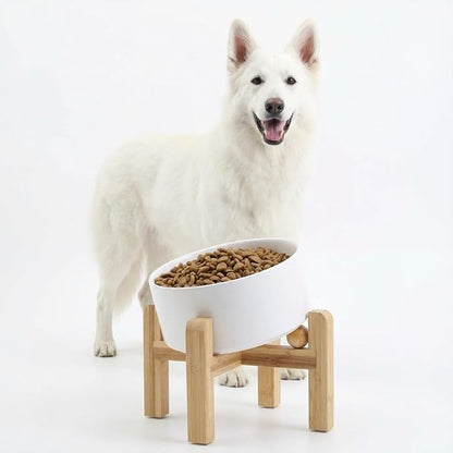 Petygooing White Elevated/Raised 15° Slanted Ceramic Dog Bowl for Large and Medium Breeds, Pet Anti Slip Feeding Bowl,Food Water Dish with Stand for Large and Medium Dogs (60 OZ / 7.6 Cup)
