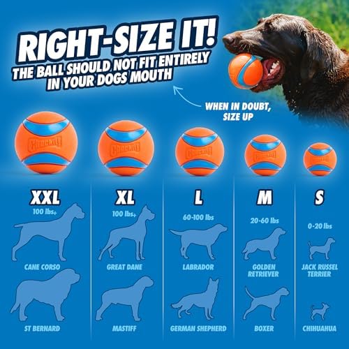 Chuckit! Classic 26M Dog Ball Launcher, 26in, Includes Medium 2.5in Ball - Image 5