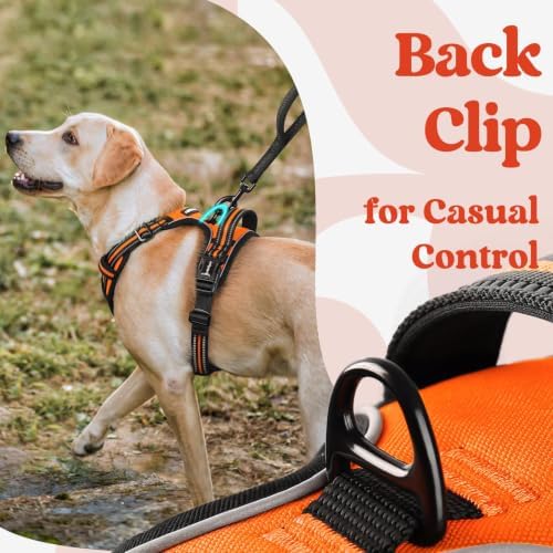 rabbitgoo Dog Harness for Large, Updated Easy On & Off with 3 Buckles - Image 5