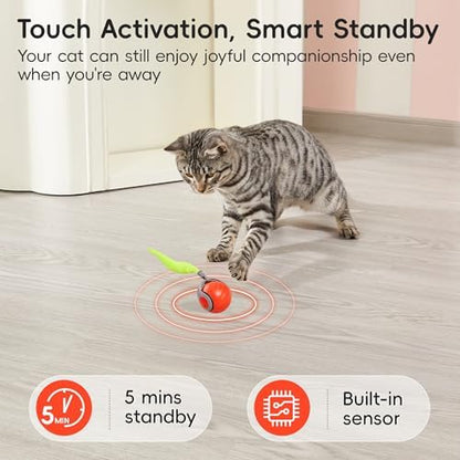 Potaroma Moving Ball Cat Toys with Feather Tail, Rechargeable - Image 4