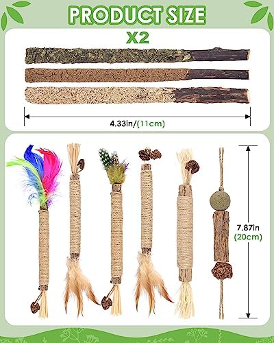 TINDTOP Cat Chew Toys, 12 Pack Silvervine Chew Sticks with 2 Pack Cage Balls for Kittens Teeth Cleaning, Matatabi Dental Care, Increase Appetite, Aggressive Chewers Cat Dental Toy - Image 5