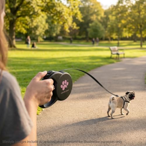 Retractable Dog Leash (Small), 10ft Heavy Duty Nylon Tape for Dogs up to 33 lbs, One-Hand Brake & Lock, Tangle-Free, Compact Lightweight Design, Black S GC-DAN - Image 4