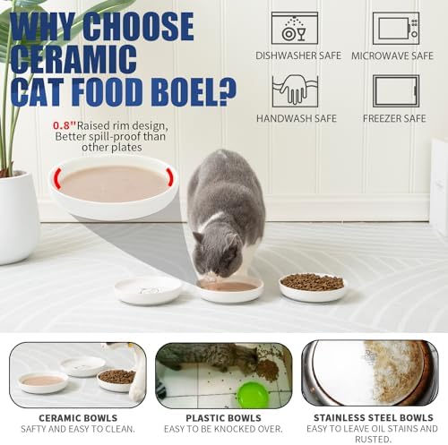 Lusifaco Shallow Wide Cat Food Bowls Anti Whisker Fatigue (Blue, 3 Pack) - Image 5