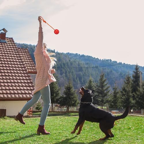 2 Pack Dog Ball, K9 Ball on Rope for Reward, Fetch, Play (Blue and Red) - Image 6