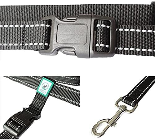 Caldwell's Pet Supply Co. Hands-Free Dog Leash, Adjustable Waist Leash for Dog Walking, Non-Bungee, Hands Free Harness, Durable and Versatile Waist Belt Leashes, Cross Body for Dogs (26" - 47") - Image 5