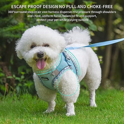 AIITLE Step in Dog Harness & Leash Set with Reflective Design, Blue XXS - Image 4