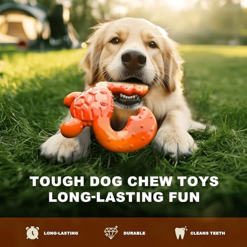 Dog Chew Toys for Aggressive Chewers – Tough Indestructible Dog Toy for Large Dogs, Durable Long-Lasting Chew Bones, Heavy Duty Interactive Dog Toys to Keep Dogs Busy & Relieve Boredom - Image 6