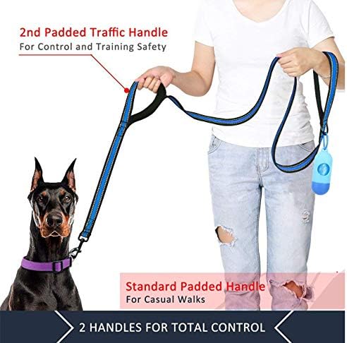 JSXD Heavy Duty Double Handle Dog Leash - 5 FT with Comfortable Padded and Reflective Rope, Suitable for Small, Medium, Large Dogs (Wide-Blue) - Image 2