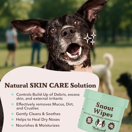 Natural Dog Company Snout Wipes for Dogs – Cleansing & Moisturizing Care for Dry, Cracked Snouts, Soothing Grooming Formula with Kukui Oil, 50 Count - Image 2