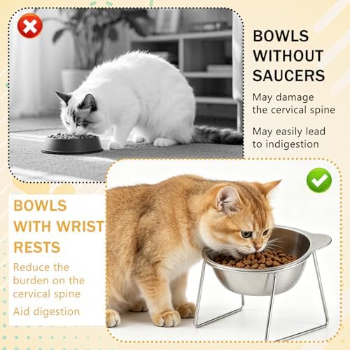 Elevated Cat Bowls 3 Pack, 15° Tilted Raised Cat Food & Water Bowls with Stainless Steel Dishes, Whisker-Friendly Anti-Vomiting Pet Bowls for Cats & Small Dogs - Image 5