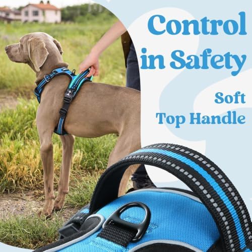 rabbitgoo Dog Harness Small Sized, Updated Easy On & Off with 3 Buckles - Image 5