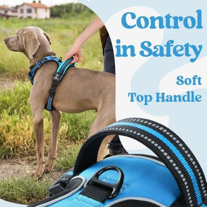 rabbitgoo Dog Harness Small Sized, Updated Easy On & Off with 3 Buckles - Image 5