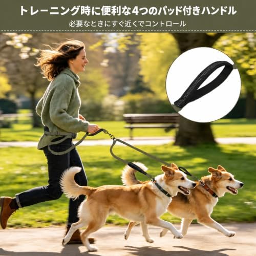Hands Free Double Dog Leash, 4 Reflective Padded Handles, Adjustable Waist Belt 27-51", Shock-Absorbing Bungee, 360° Swivel Clips, for Small, Medium & Large Dogs, Walking Jogging Running - Image 3