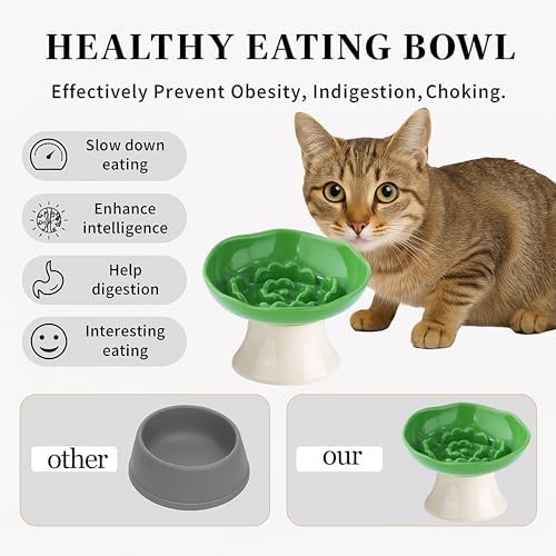 Ceramic Slow Feeder Bowl for Cats and Small Dogs, Elevated Tilted Pet Food Dish, Whisker Friendly Anti-Vomit Design, Heavy Stable Base, Dishwasher Safe， 5 Colors Options (Leaf Green) - Image 4