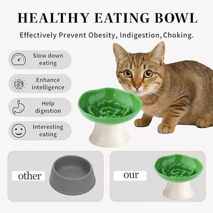 Ceramic Slow Feeder Bowl for Cats and Small Dogs, Elevated Tilted Pet Food Dish, Whisker Friendly Anti-Vomit Design, Heavy Stable Base, Dishwasher Safe， 5 Colors Options (Leaf Green) - Image 4