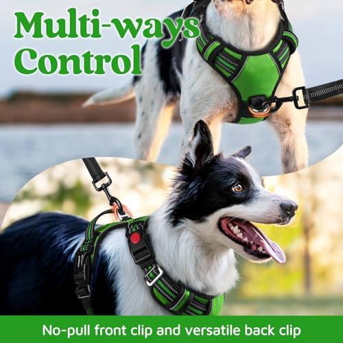 rabbitgoo Dog Harness Medium Sized, No Pull 3 Buckles Easy On & Off - Image 3