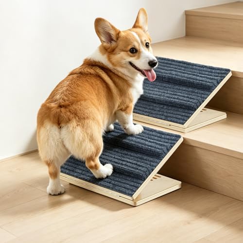 Dog Ramp for Stairs for Small Dogs Up to 40 lbs - Adjustable Dog Stair Ramp with Non-Slip Carpet, Foldable Pet Ramp for Stairs, Dog Ramp Stairs for Senior Dogs, Puppies, Bed, Sofa (2-Pack) by Unknown