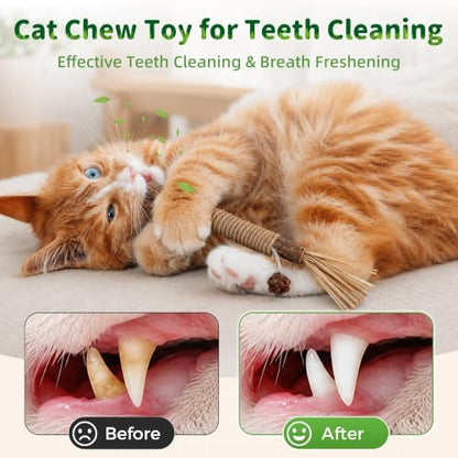 GBSYU Silvervine Sticks Cat Kitten Chew Toys for Indoor Cats Teeth Cleaning - Image 3