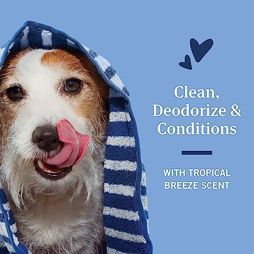PetArmor Flea & Tick Protection Shampoo for Dogs, Sunwashed Linen Scent, 18 oz (Pack of 2) - Image 3
