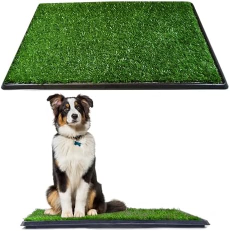 Downtown Pet Supply Dog Grass Pad with Tray, 20 x 30 - Outdoor and Indoor Potty System for Dogs with Replaceable Synthetic Grass Pee Turf - Portable and Waterproof Turf Dog Potty by DowntownPetSupply
