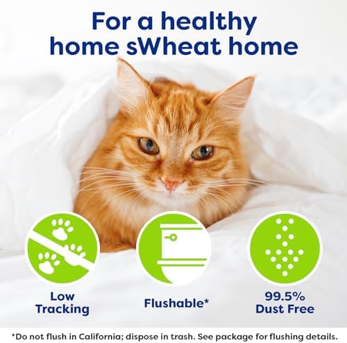 sWheat Scoop Natural Wheat Multi-Cat Litter, Superior Clumping with Odor Neutralizing Enzymes, 25 Pound Bag - Image 5