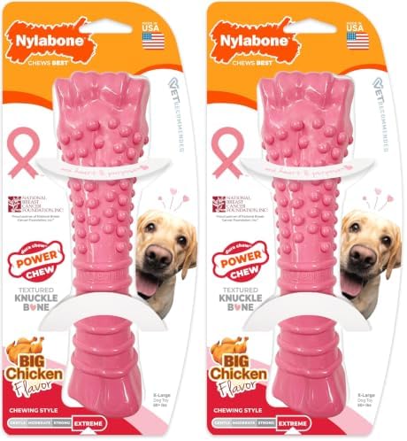 Nylabone Power Chew Breast Cancer Awareness Femur Bone Chew Toy for Dogs, Indestructible Dog Toys for Aggressive Chewers, Chicken Flavor, X-Large/Souper (1 Count) (Pack of 2) by Nylabone