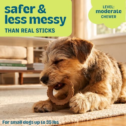 Dogwood Ring Dog Chew Toy, Durable Real-Wood Blend, Natural Flavor & Texture, Keeps Dogs Busy, Moderate Chewers, USA Made Materials, Small Breeds up to 35 lbs, 4.1" - Image 2