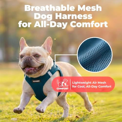 Voyager Step-in Air Dog Vest Harness - Blue, X-Large - Image 5