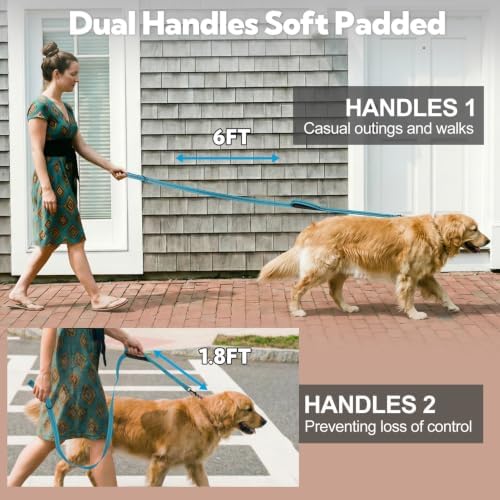Dual-Handle Dog Leash 6FT, Heavy Duty Nylon with Reflective Threads,Blue - Image 5