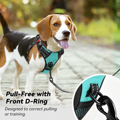 PoyPet No Pull Dog Harness Large with Front Clip & Neck Release Buckle - Image 3
