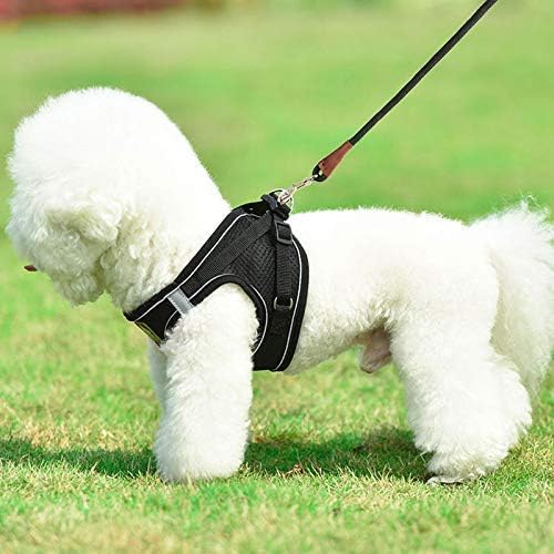 Small Dog Leash, 1/4" by 6/8/10 FT Lightweight Strong Nylon Rope Leash, Bright Classic Lead for Small Pets/Puppy/Cat (8ft, Black)