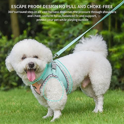 AIITLE XXS Dog Harness & Leash with Reflective Design, Turquoise-Pink XXS - Image 4