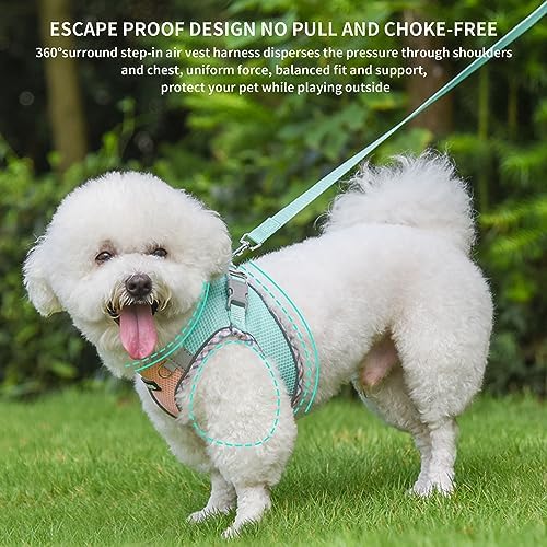 AIITLE Dog Harness and Leash Set with Breathable Mesh, Turquoise-Pink M - Image 6