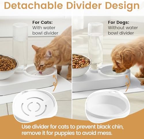 2 in 1 Elevated Dog Cat Bowls, 15°Tilted Pets Water and Food Bowl Set, Pet Feeding Bowls with Automatic Water Bottle and Feeding Mat for Kittens and Small Dogs, White - Image 7