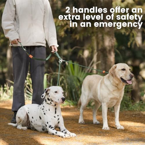 Howgo Slip Lead Leash 2 Dogs, Tangle-Free 360 Swivel(Multicolor,Handle) - Image 2