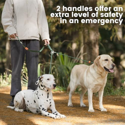 Howgo Slip Lead Leash 2 Dogs, Tangle-Free 360 Swivel(Multicolor,Handle) - Image 2