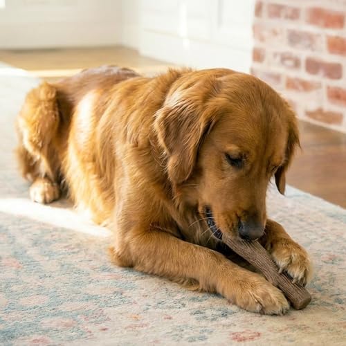 Pupstages Dogwood Stick Dog Chew Toy, Made in USA, Large, 8" - Image 5