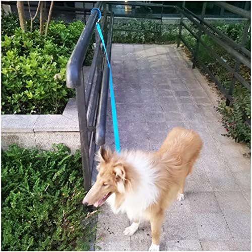 6FT Tie Out Dog Leash Dog Tie down 1"Wide Reflective Nylon Tether - Image 7