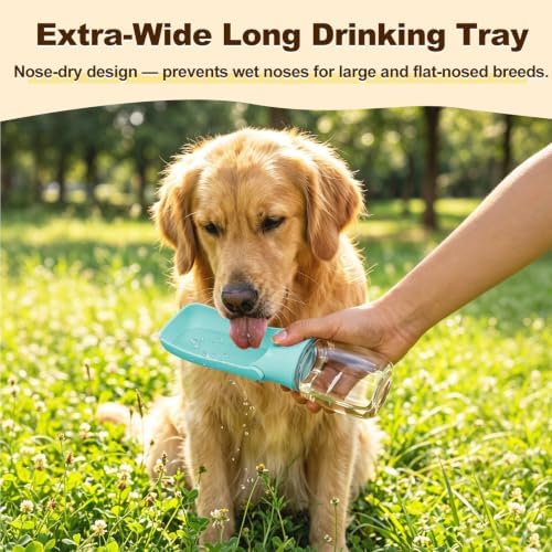 Foldable Dog Water Bottle, 12 oz Leak Proof Portable Dispenser (Green) - Image 2