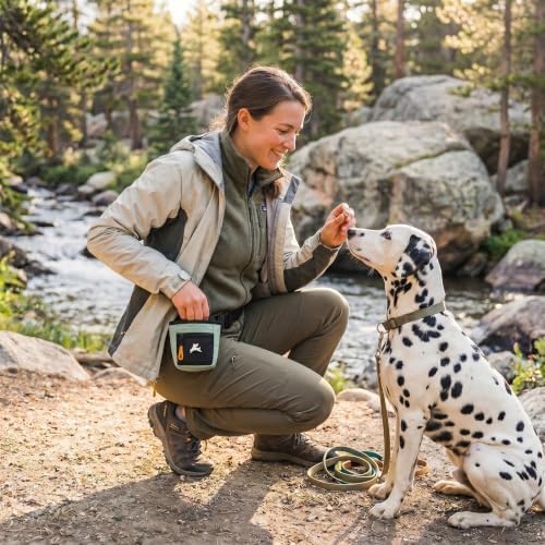 OllyDog, Goodie Treat Bag, Dog Treat Training Pouch | Magnetic Closure | 3 Ways to Wear | Hands-Free Waist Belt | Water-Resistant Recycled Vegan Fabric (Surf) - Image 2