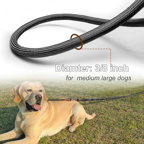 25FT Dog Tie Out Leash Long Tether 8-10-13-15-20-30-35-40-50-65FT - Image 2